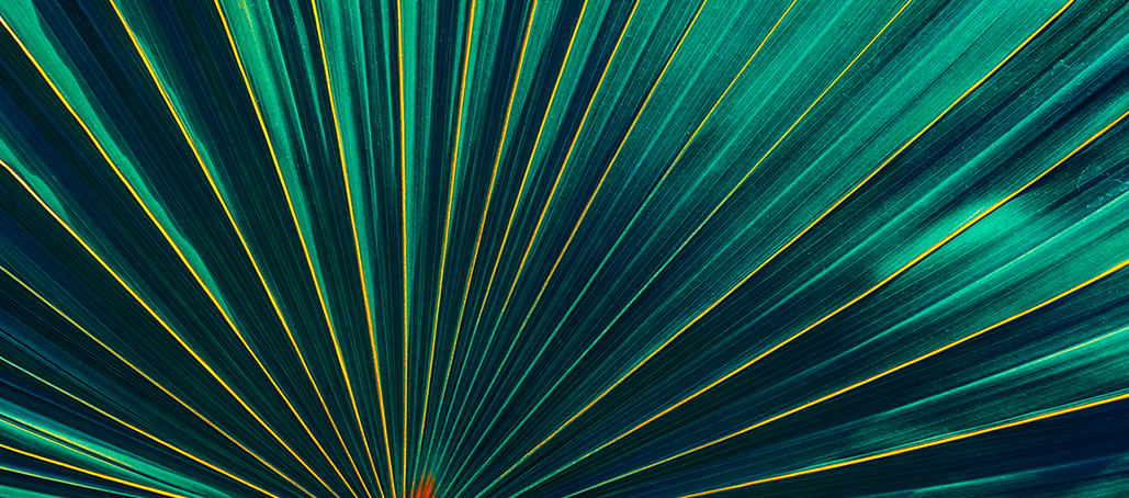 30 Years in Marketing