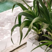 Our New Website Proves It: Relax, We’ve Got Your Marketing Covered