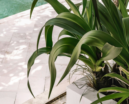 Our New Website Proves It: Relax, We’ve Got Your Marketing Covered