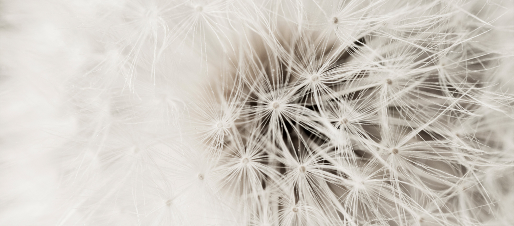 Pantone Color of the Year 2026