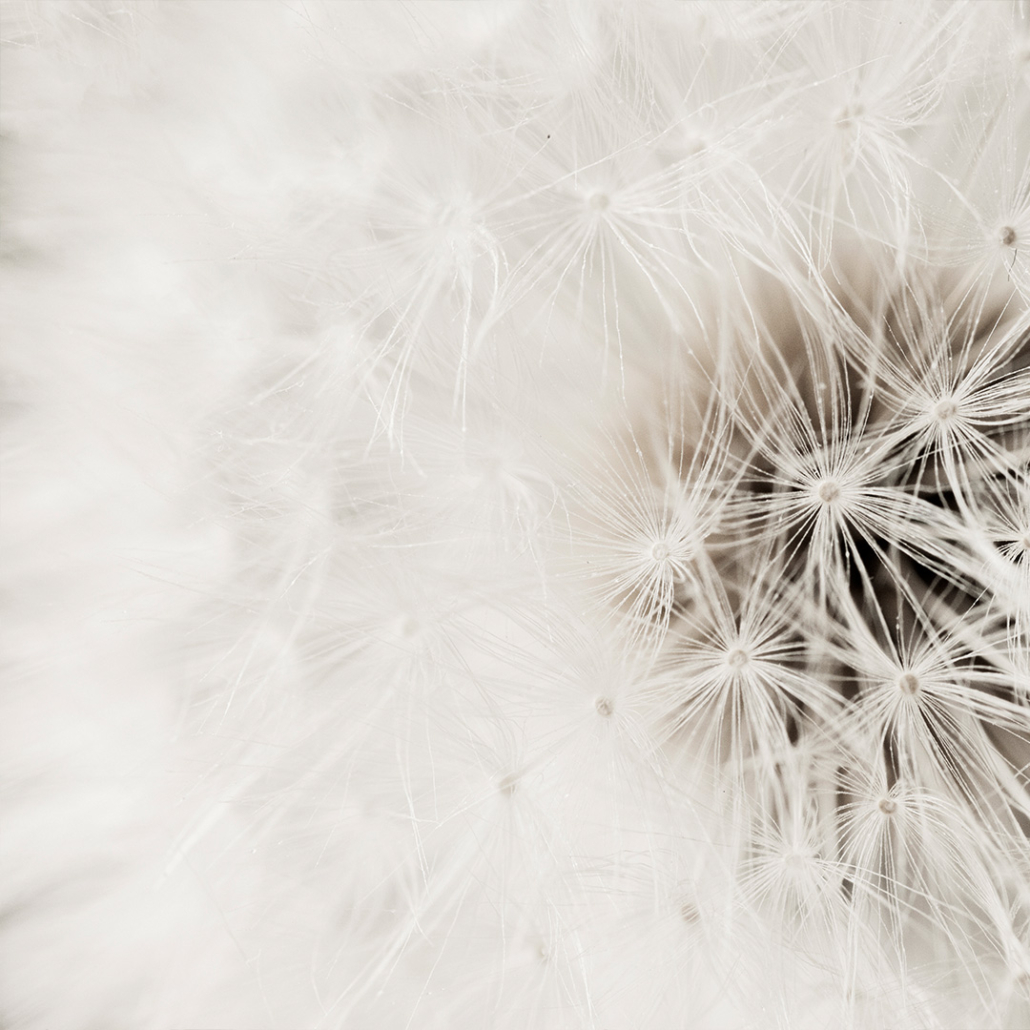 Pantone Color of the Year 2026