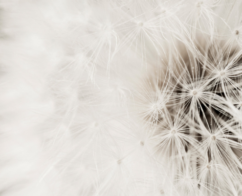 Pantone Color of the Year 2026